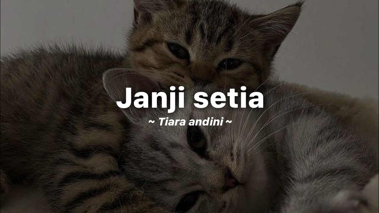 Tiara andini - janji setia (lyrics + reverb)