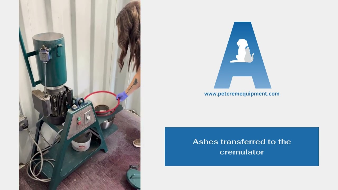 Pet Cremation Process 101