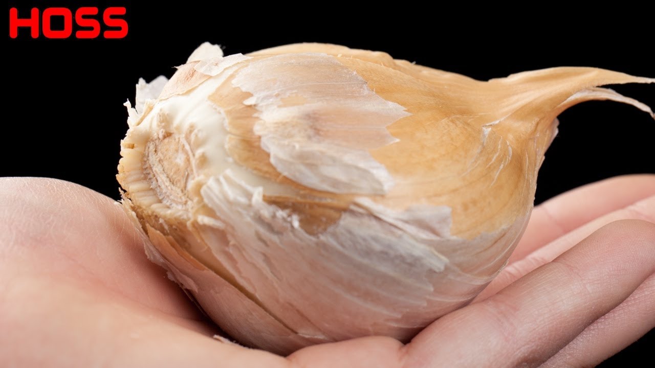 THE EASY WAY TO GROW HUGE CLOVES OF GARLIC!