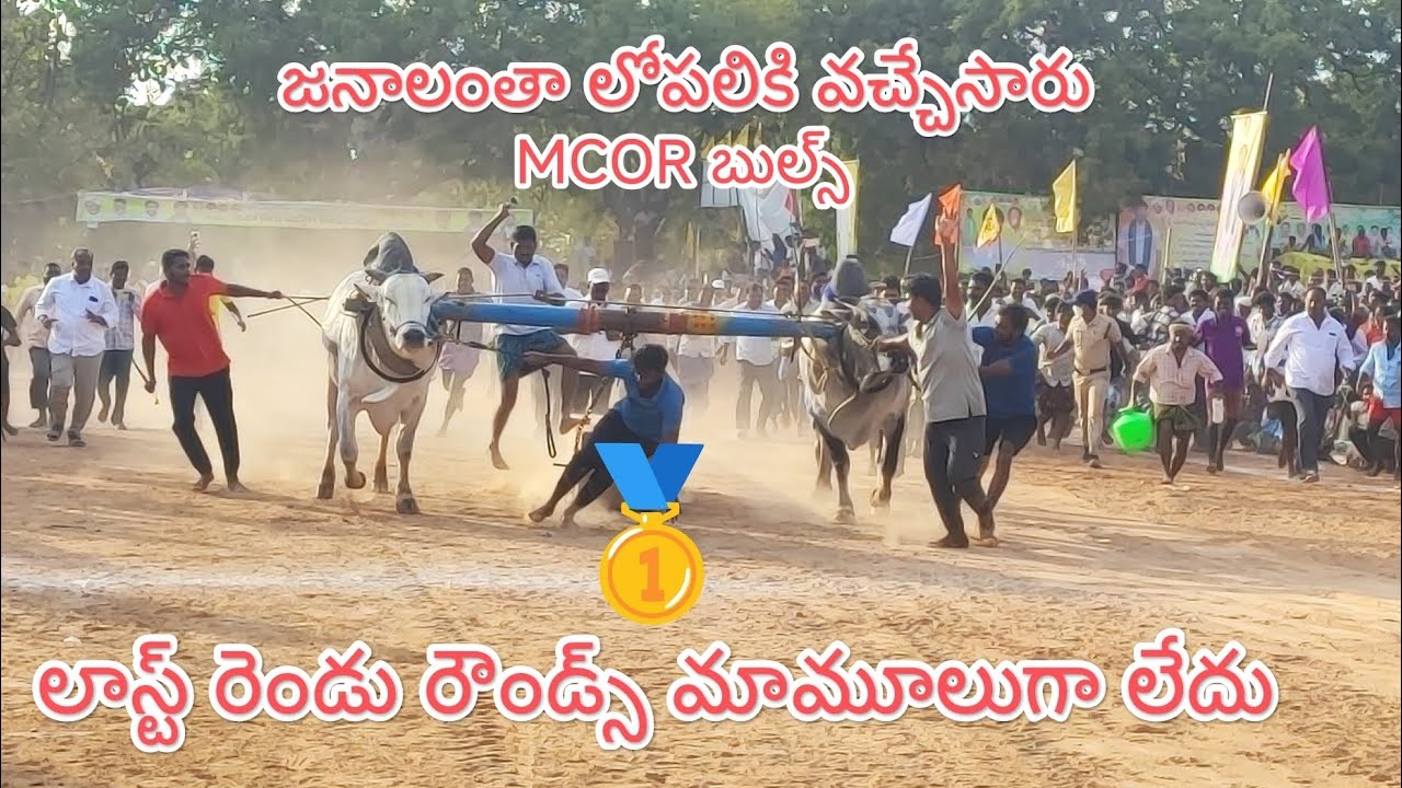 ఎమ్మిగనూరు సీనియర్స్ విభాగంలో మొదటి బహుమతి గెలుచుకున్న MCOR బుల్స్ (అహోబిల కరంజయ)
