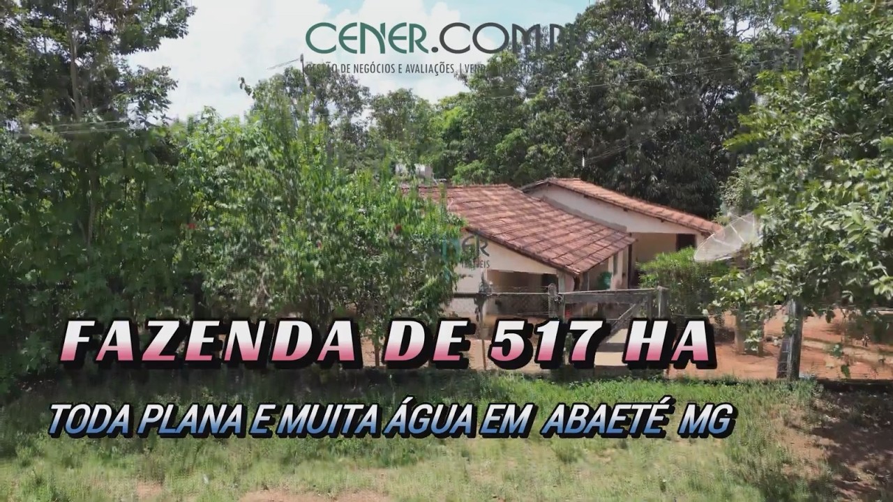 Cener 2995 Show de fazenda de 517 ha por 17 milhões em Abaeté MG