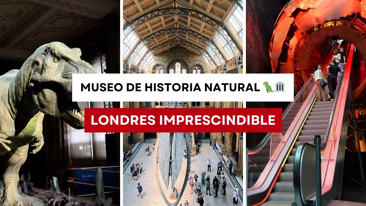 QUÉ VER en el MUSEO de HISTORIA NATURAL de LONDRES 🦖🏛️ | Londres Imprescindible