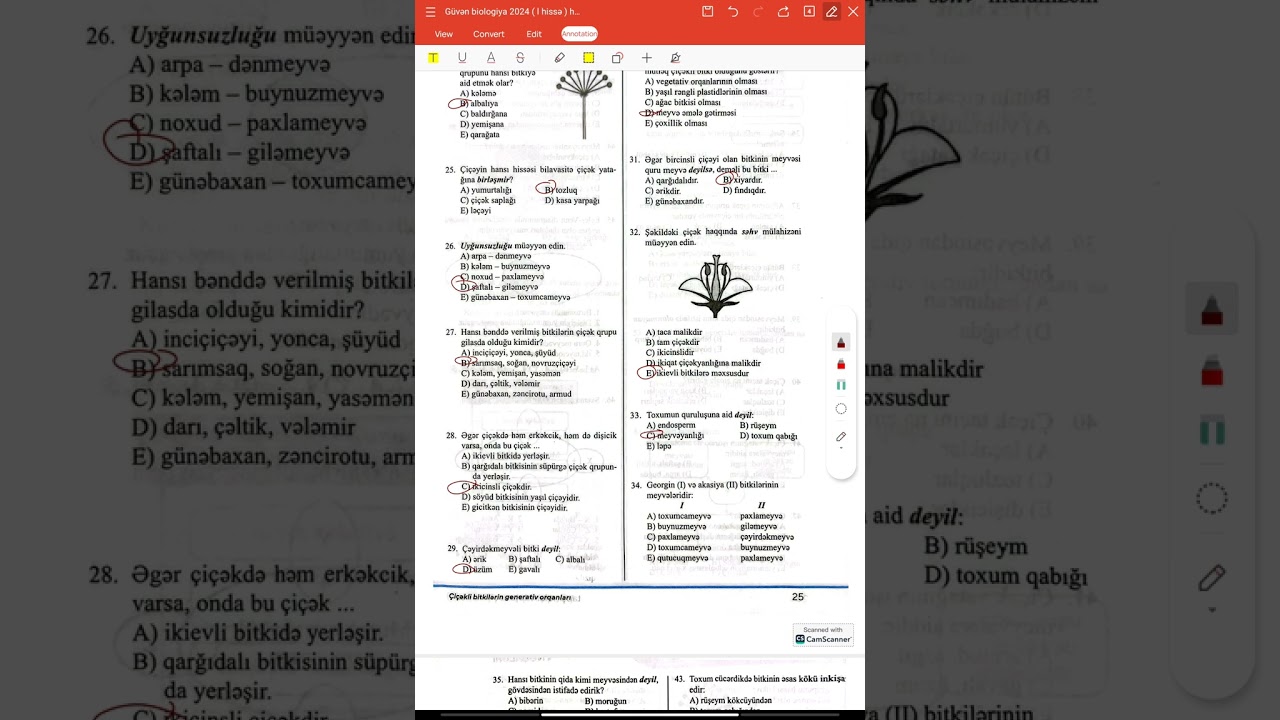 Çiçəkli bitkilərin generativ orqanları qapalı tipli testlərin izahı.Güvən test toplusu 2024.1hissə