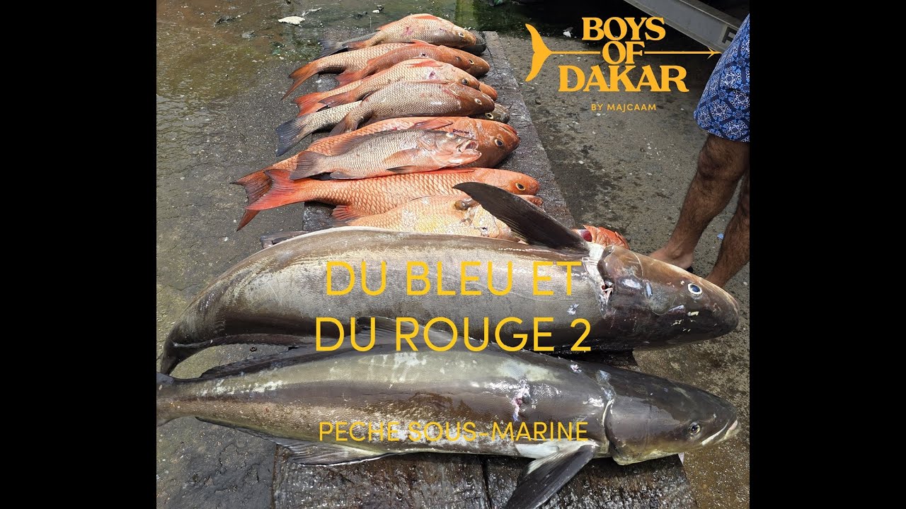 PECHE SOUS MARINE - DU BLEU ET DU ROUGE 2 - MAJCAAM - BOYS OF DAKAR - Ep.300