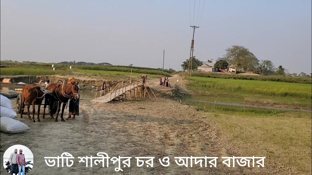 বাটি সালীপুর চর ও আদার বাজার। চরভদ্রাসন থানা ফরিদপুর জেলা চলুন ঘুরে আসি 