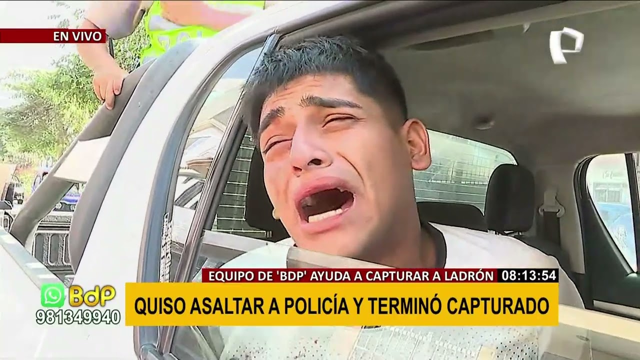 Los Olivos: delincuente roba a policía y termina llorando al ser capturado: 