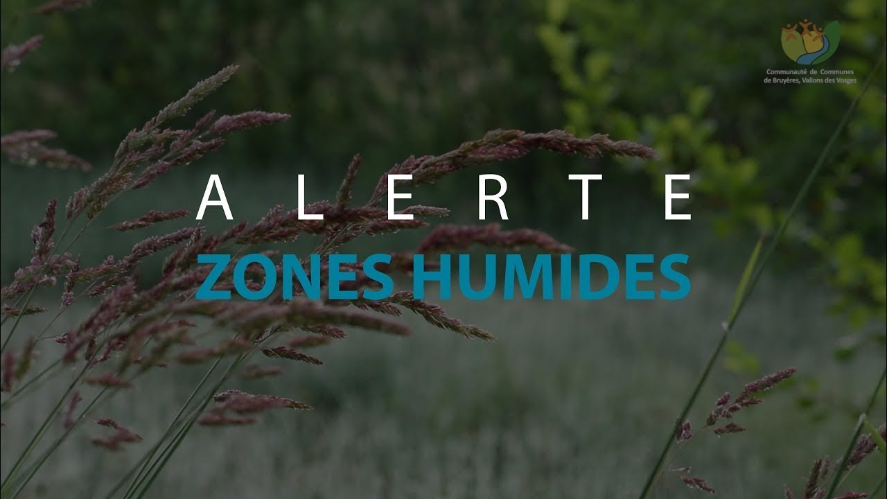 Alerte zones humides - Documentaire