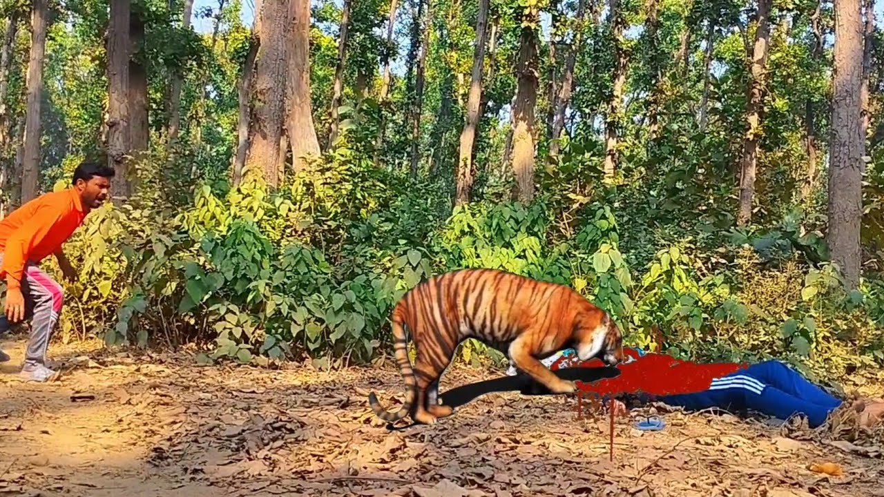 टाइगर अटैक पार्ट 2