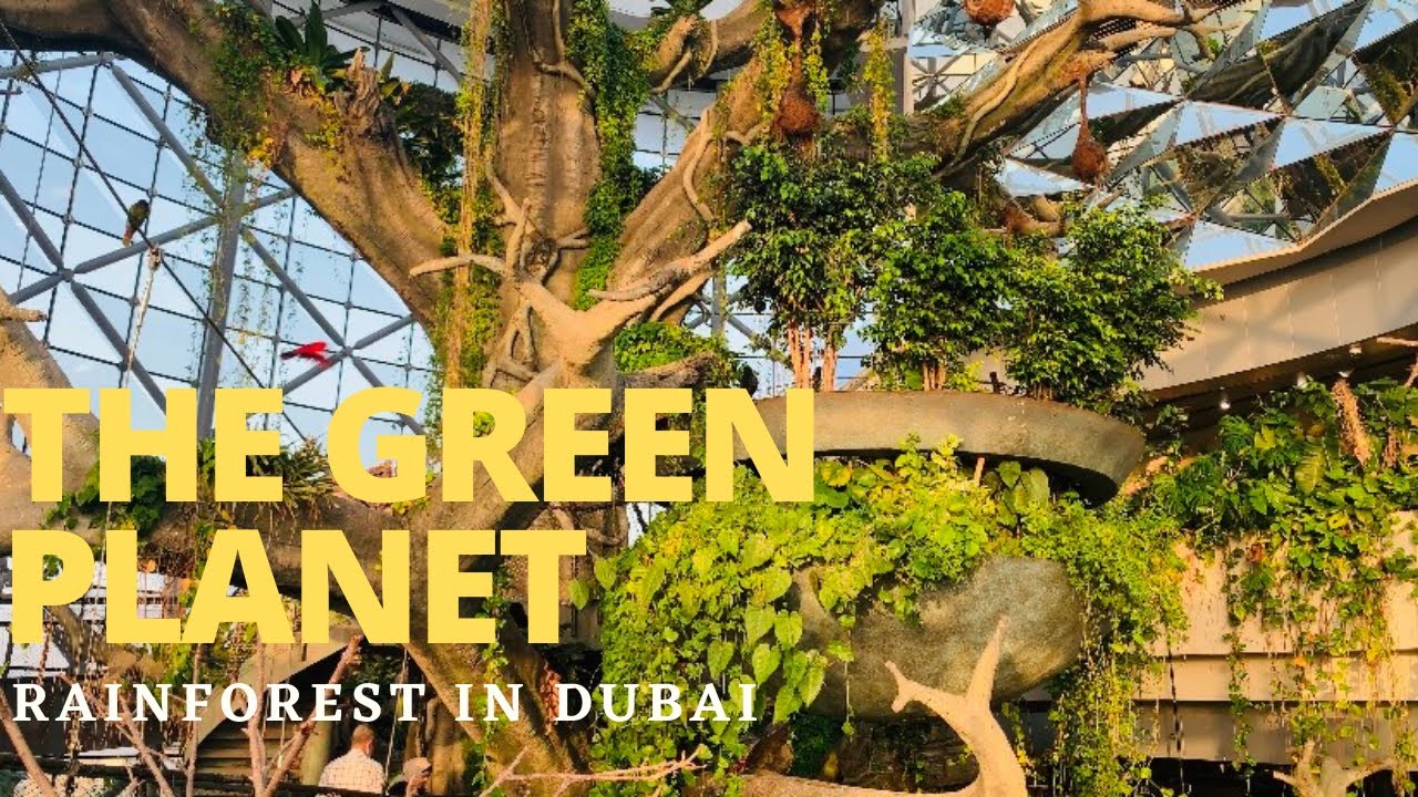 Green Planet Dubai | indoor rainforest in Dubai | The Green Planet Dubai, UAE