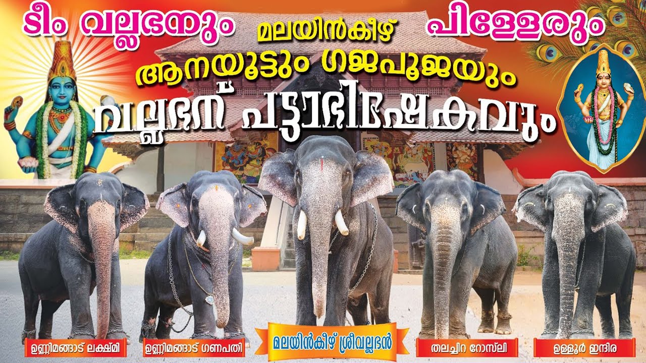 കുഞ്ഞുരുള അല്ല എനിക്ക് ആന ഉരുള വേണം | Malayinkeezhu Sree Krishna Swami Temple