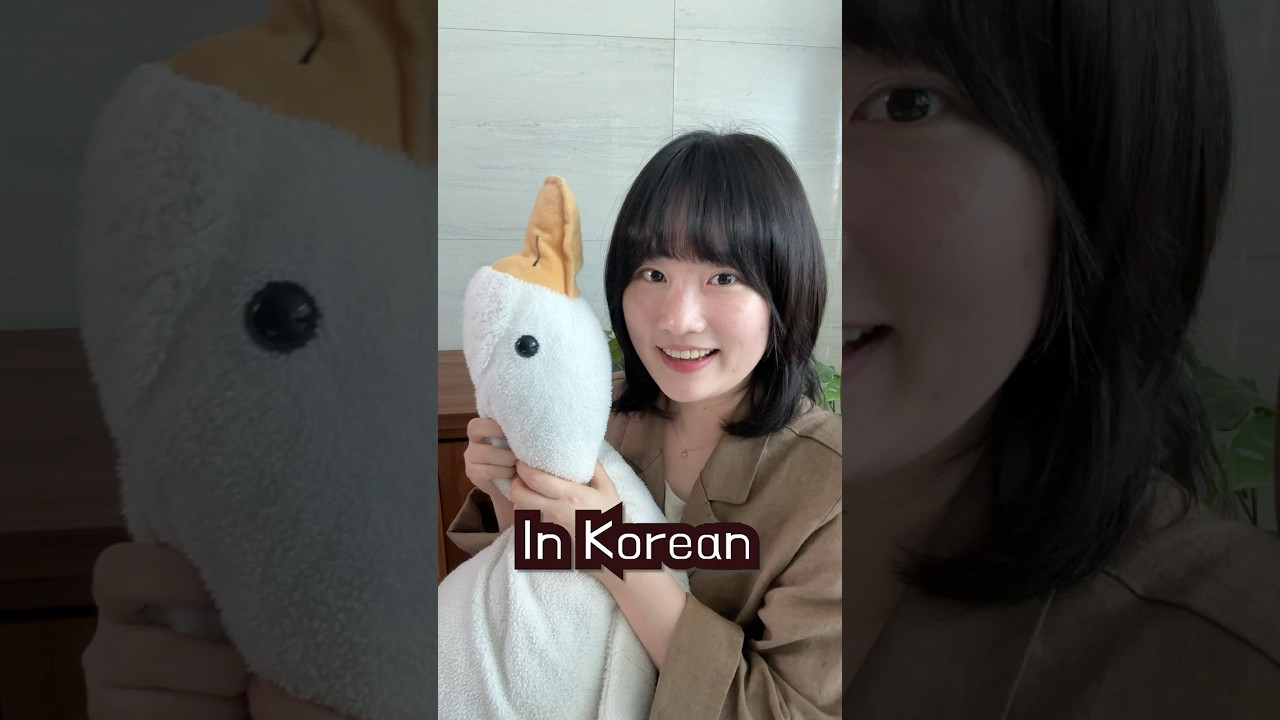 How to Say &ldquo;I&rsquo;m Happy&rdquo; in Korean 😊  #koreanphrases