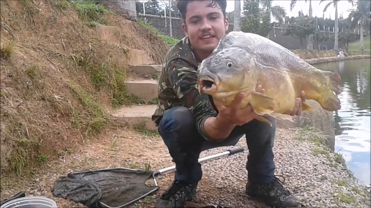 Pesca Da Carpa #01 - Onde tudo começou !