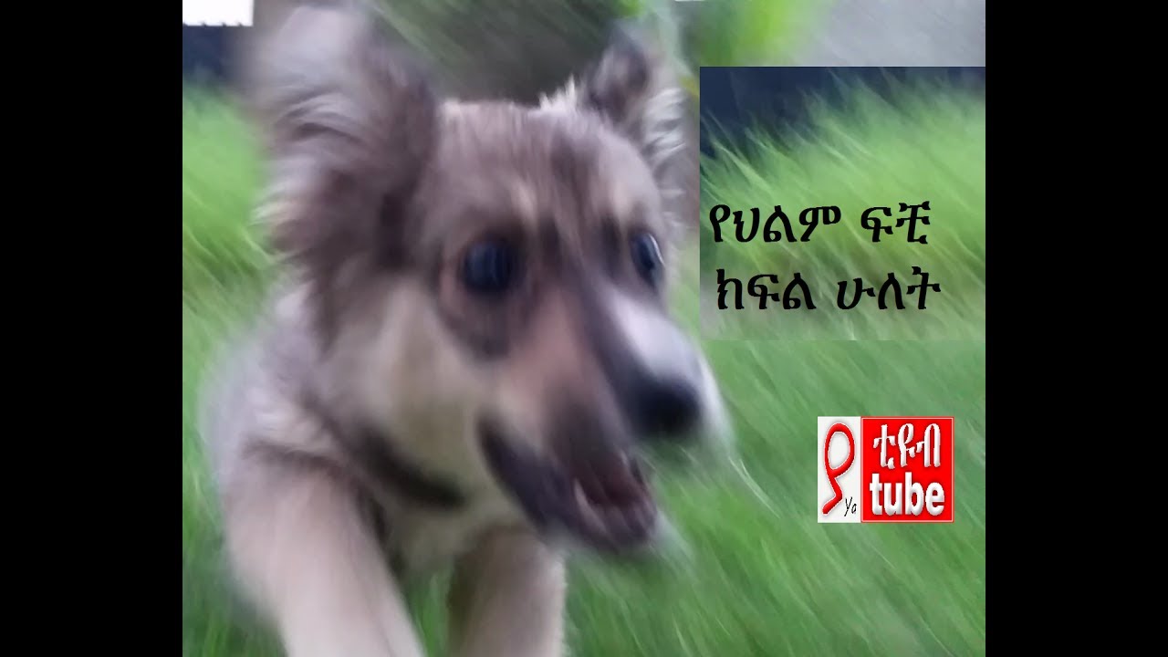 ህልም ፍቺ በ ቤተልሄም ለገስ ---- ክፍል ሁለት