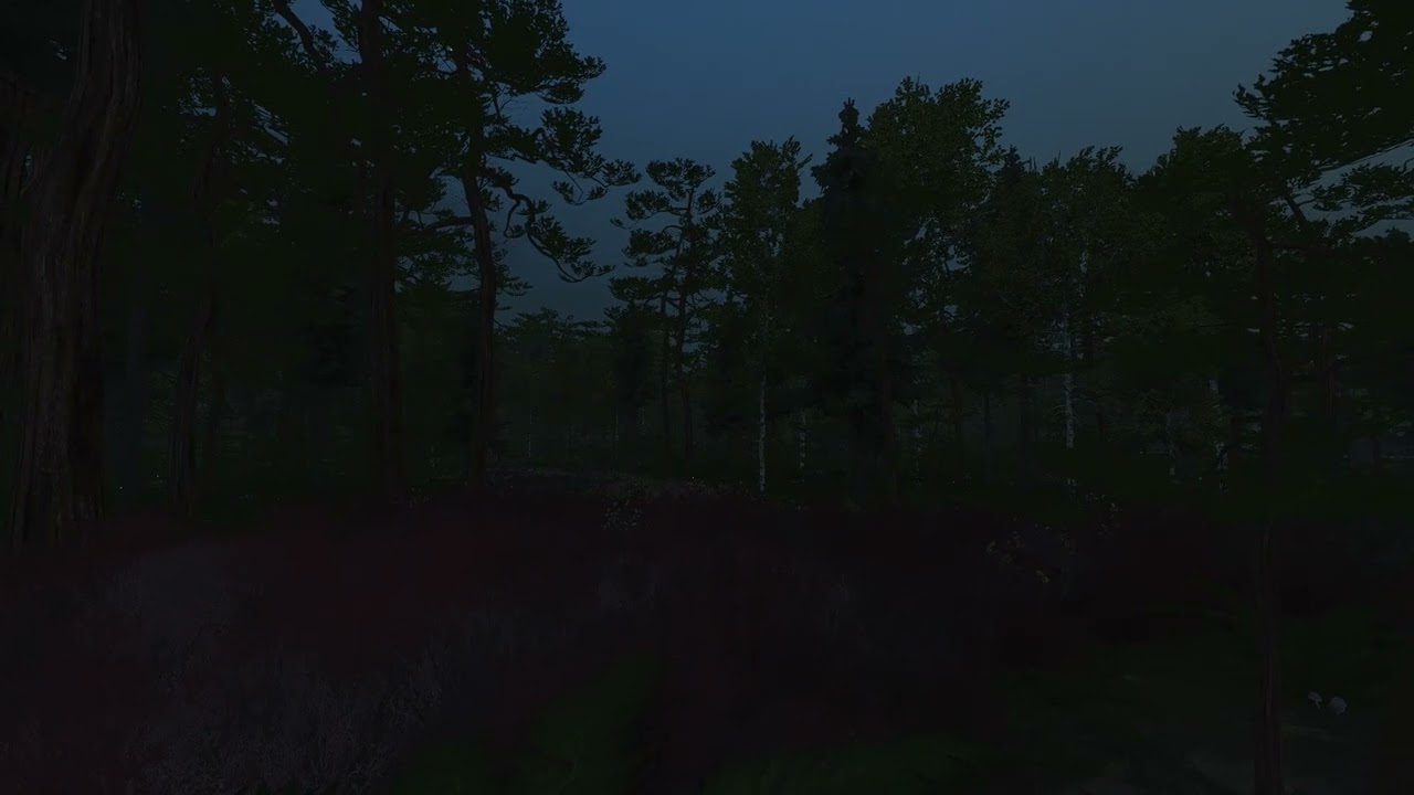 Forest - Tropical Atmosphere