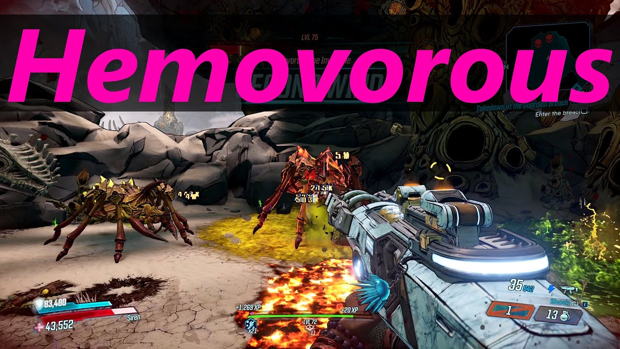 Hemovorous the Invincible - Amara mayhem 11 (no melee)