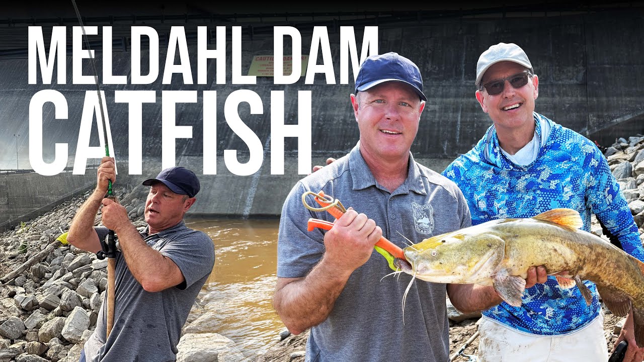 Meldahl Dam Catfish with Spoons!