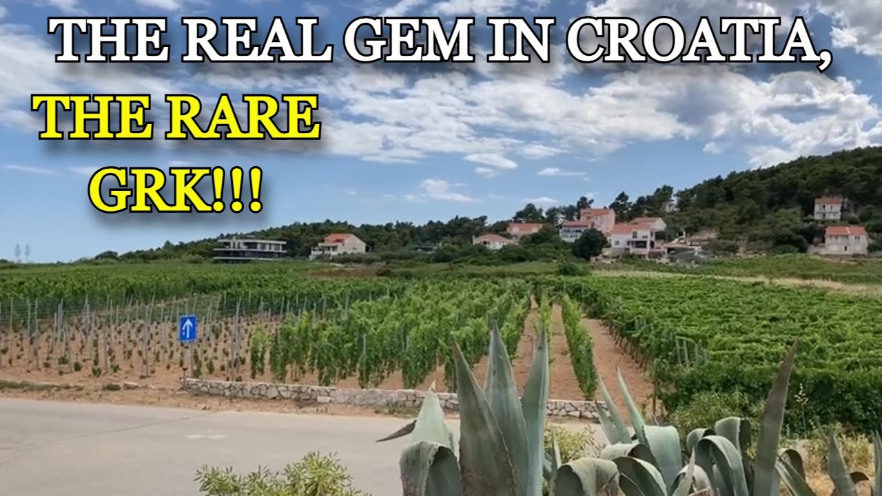 Croatia 2025 Part 2 -Korčula- The Amazing Grk Wine