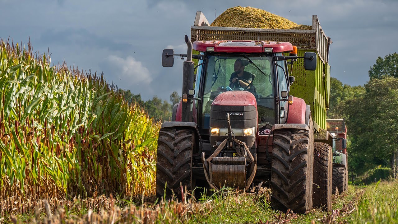 Mais Silage / Claas Jaguar 960 + Case / Pleizier & Timmer