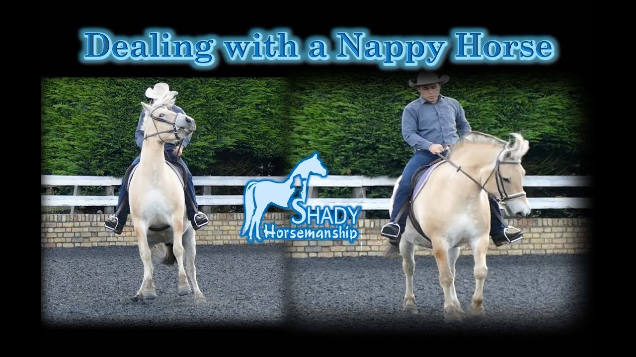 Dealing with a Nappy Horse