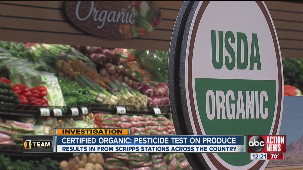 No testing procedures in place to assure organic produce is chemical-free, so we tested ourselves