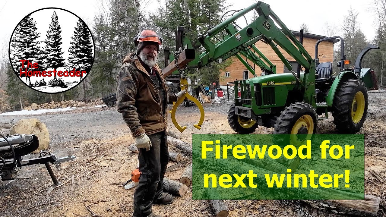Spring Firewood | Chain Saw Sharpening | Log Tong Final Tweak | Cutting down a dead tree