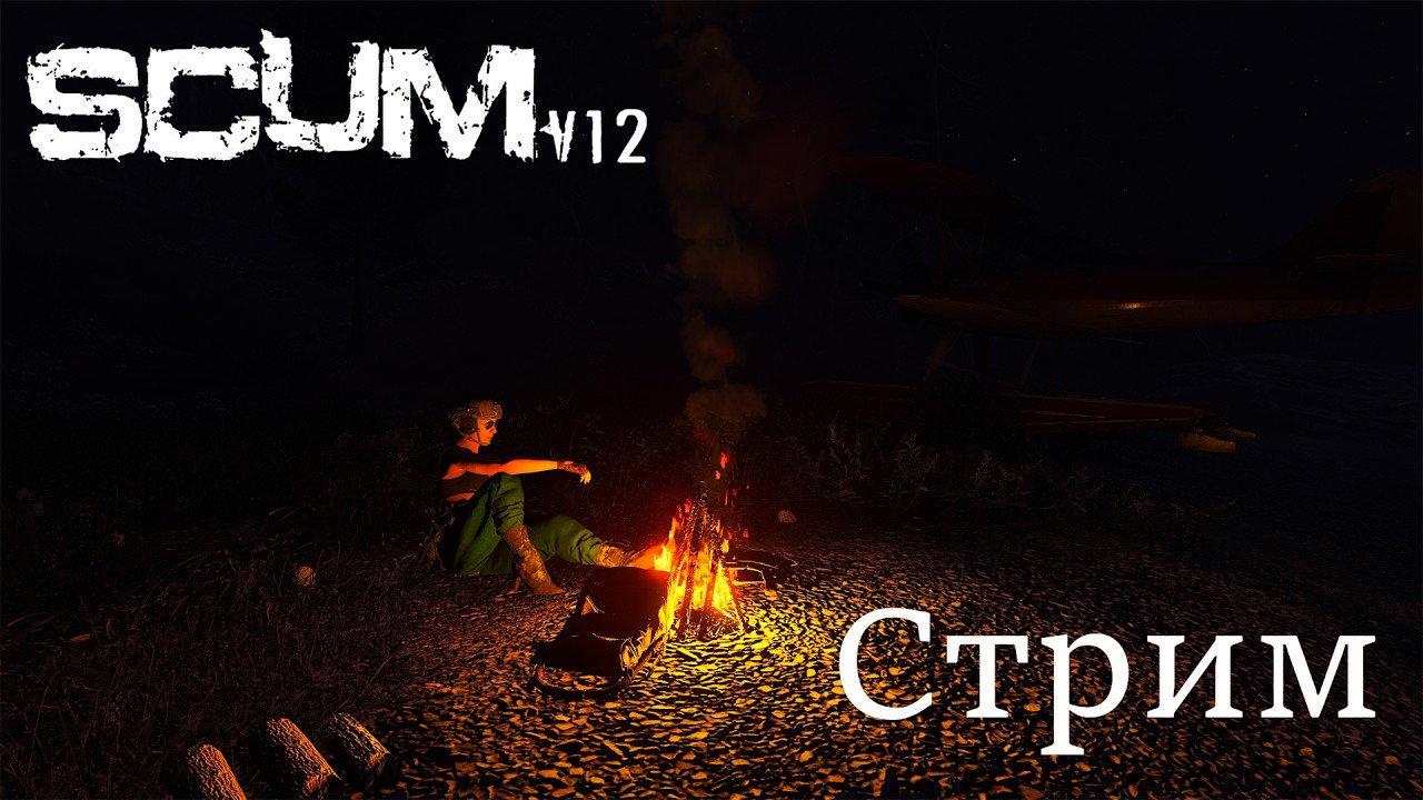 Scum V 1.2  Стрим. Выбор сервера за вами.