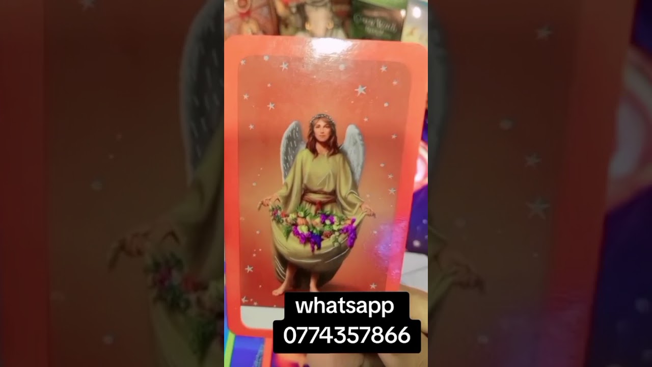 ඔයාට දැන් තියන ලොකුම අවශ්‍යතාව ලබා ගන්න Angel Massage එකෙන් දෙන පණිවිඩය#tarotreading #viral #fyyp#