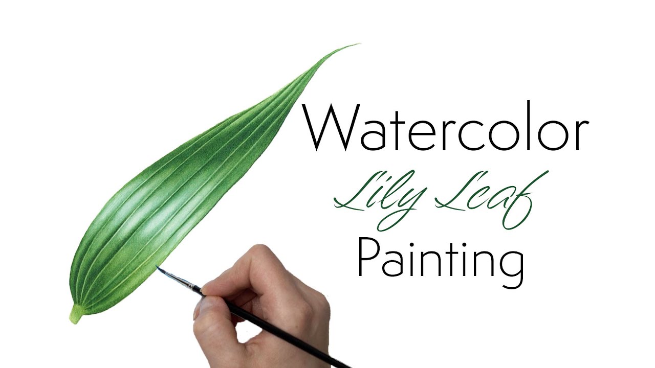 Watercolor Lily Leaf Painting 🌿Paint with me 🌿 relaxing painting video 🌿