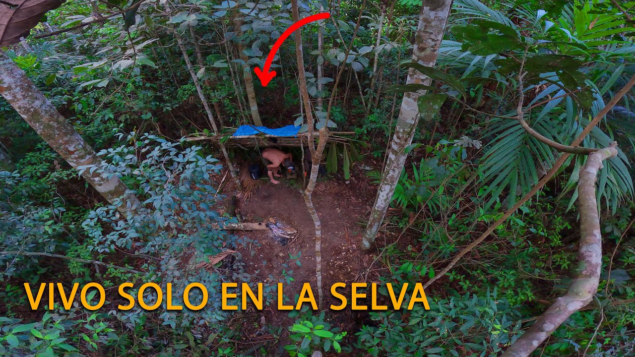 Sobreviví 7 días SOLO en medio de la selva del Amazonas.