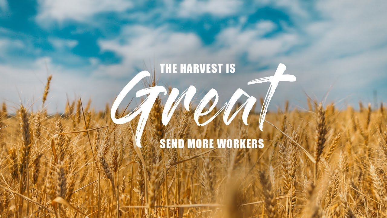 Pastor Mark Robertson:  Luke 10:1-12  