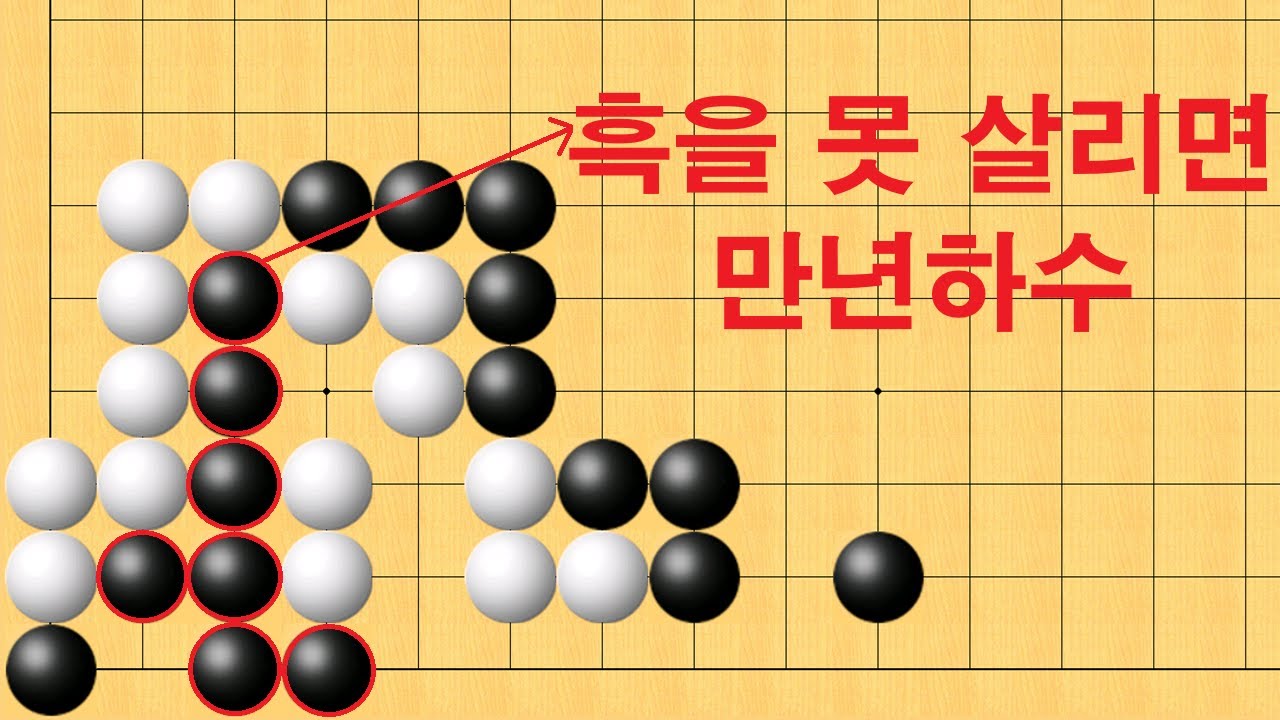 바둑 맥점 사활 - 흑을 못 살리면 만년하수 입니다