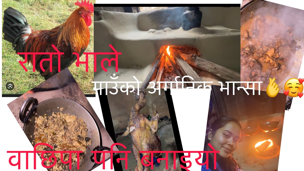 कुखुराको मासु भात र तिते मज्जाले खाइयो🤣😆🫰🙏🏻🙏🏻