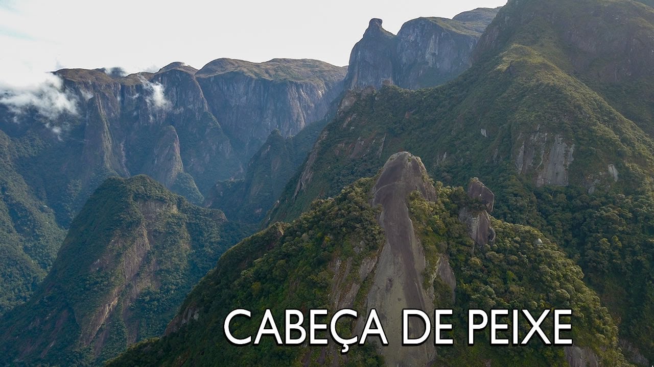 Cabeça de Peixe - Agosto de 2021