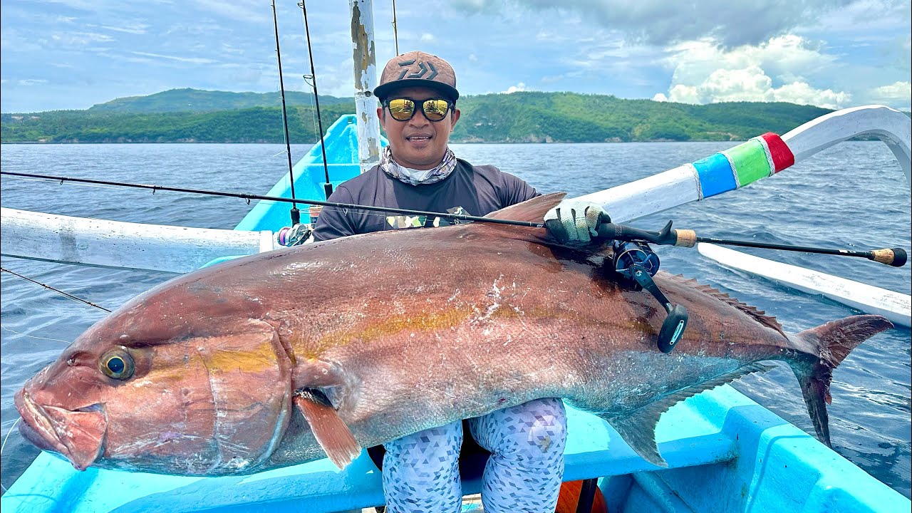 PERLAWANAN MONSTER AMBERJACK 43 KG !!!