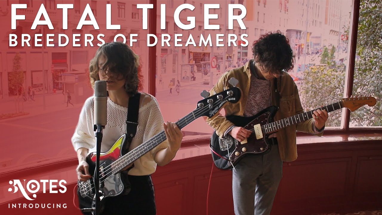 Fatal Tiger -  Breeders of Dreamers