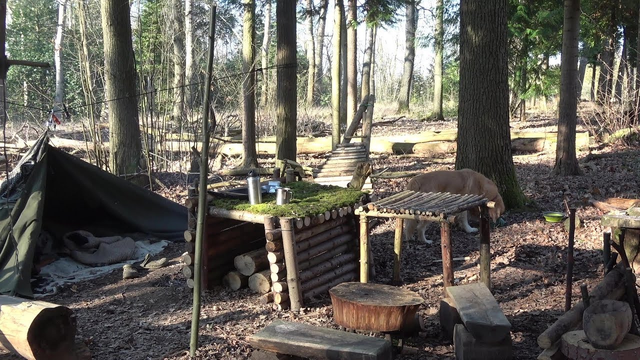 Bushcraft Woods Wild Camp