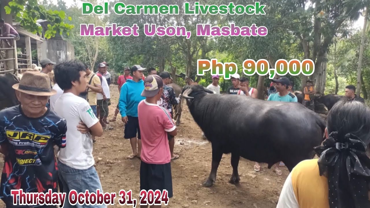 Presyo ng Kalabaw , Bumili ako Php 64,950 Total Buy and sell, Delcarmen livestock, Uson Masbate@King