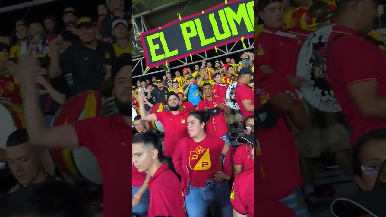 LOBO SUR PEREIRA VS CALI