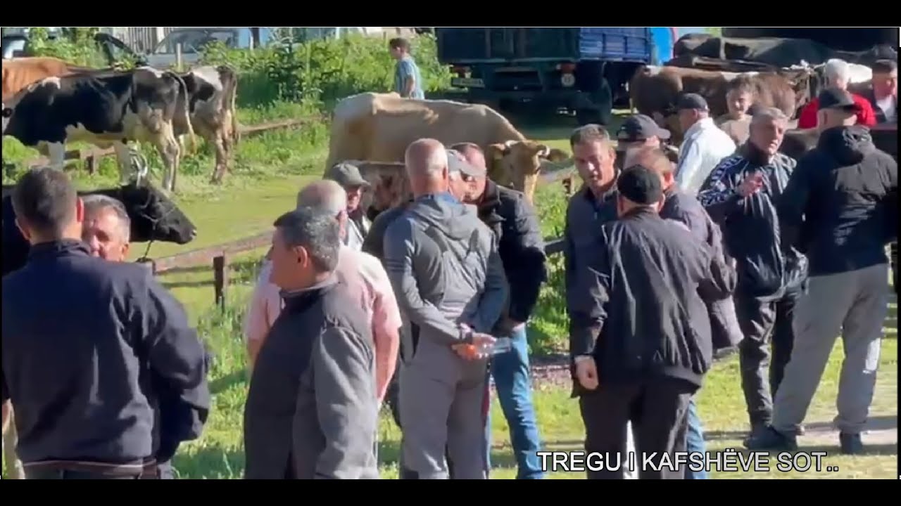 TREGU I KAFSHËVE SOT