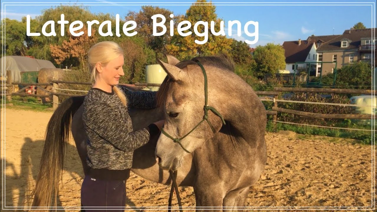 Bodenarbeit für Anfänger: Laterale Biegung