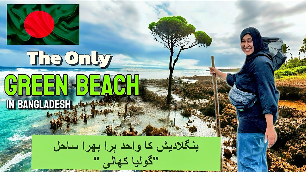 Bangladesh’s Only Green Beach? 😍🌿 | Guliakhali Sea Beach Sitakunda  @NOVOROSH