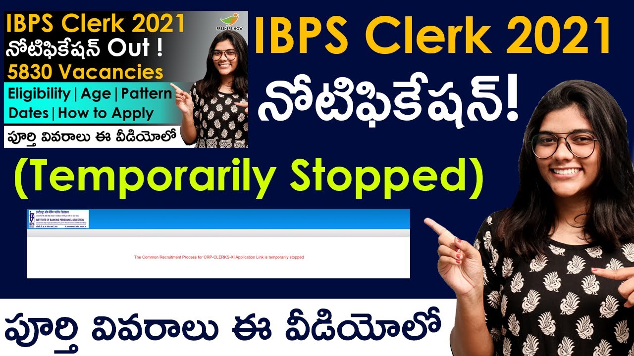 IBPS Clerk Notification 2021 in Telugu | 🔴 Temporarily Stopped 🔴 | Latest Information from IBPS 2021