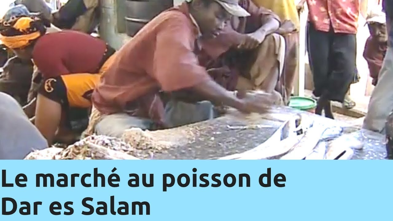 Le marché au poisson de Dar es Salam - Thalassa Documentaire