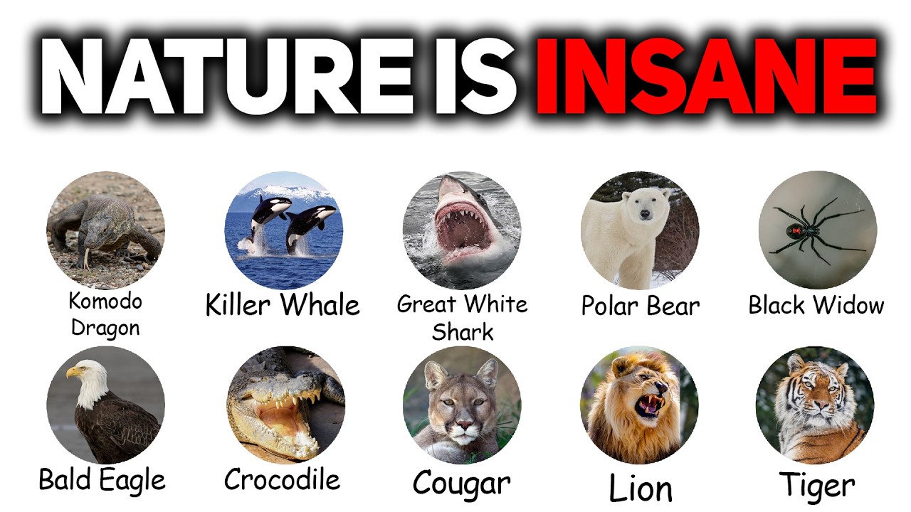 Every Nature Predator Explained in 21 Minutes