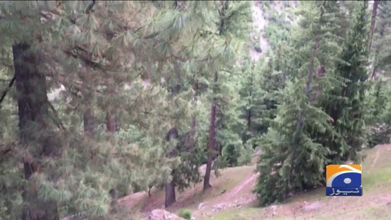 Gilgit Baltistan Weather Update | 24th June 2020