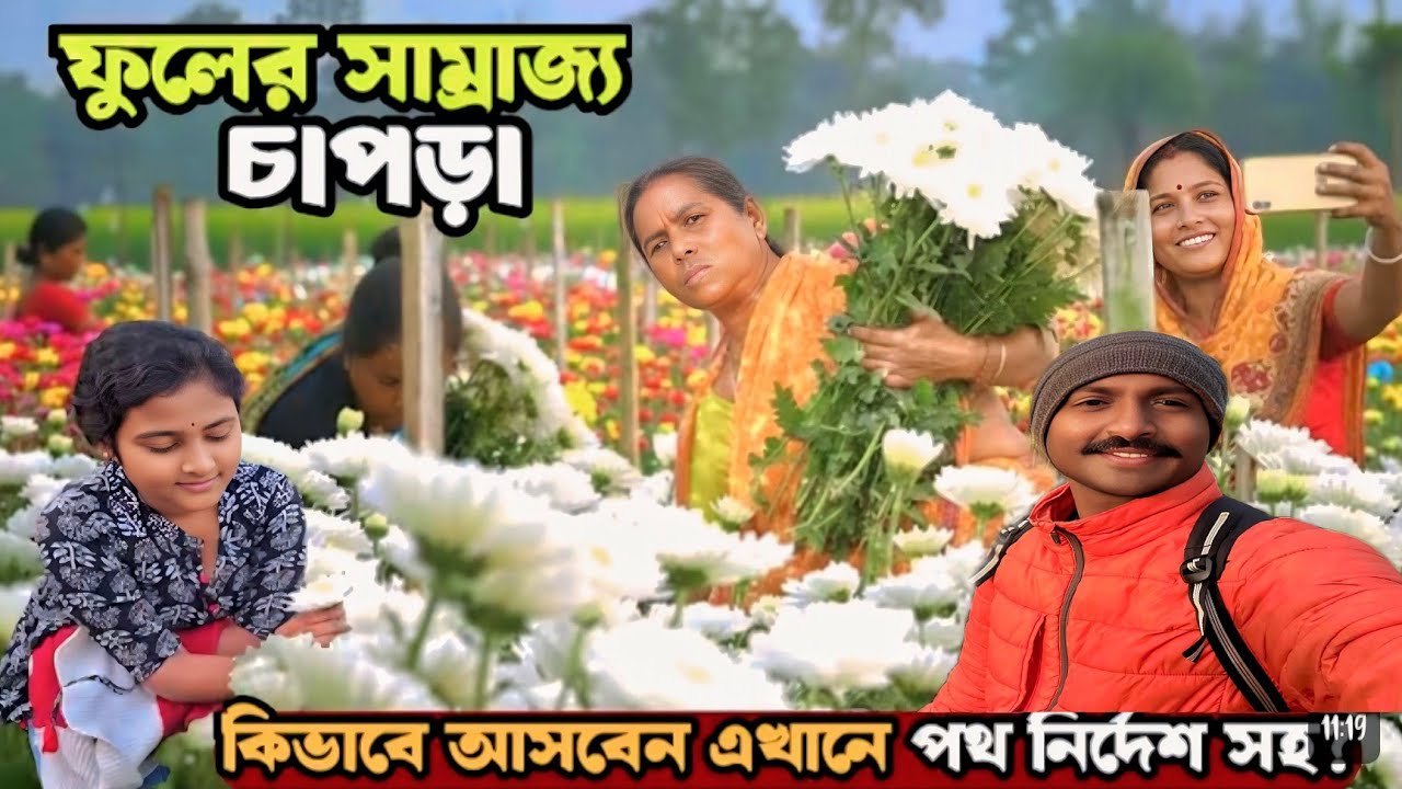 কিভাবে যাবে চাপরাতে 🌻| Ranaghat Chapra Flower Valle 🌹 | Ranaghat Flower 🌺 Valle #flowers #chapara 