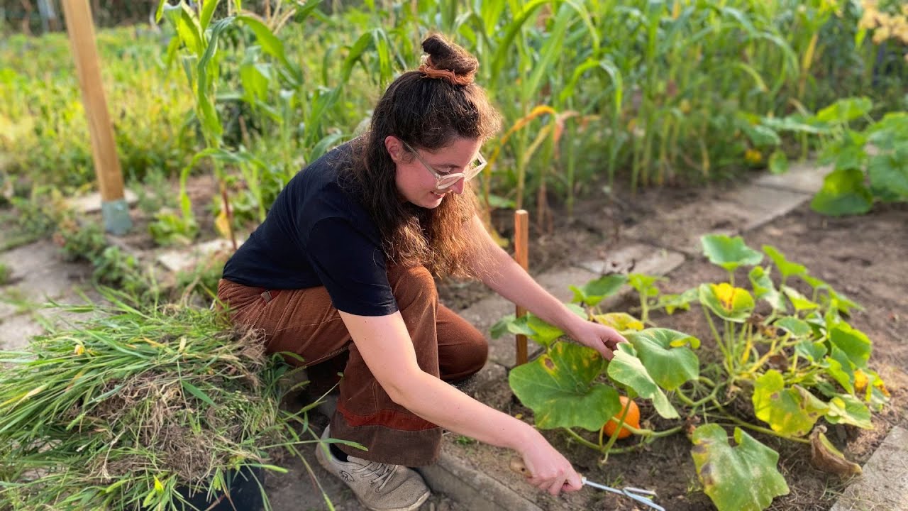 Ich bringe meinen Gemüsegarten auf Vordermann! Selbstversorgung im Sommer 👩🏼‍🌾