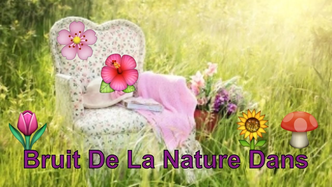 🌳Bruit De La Nature Dans Belle Maison De Campagne 🌼 Harmonie et Bien-être