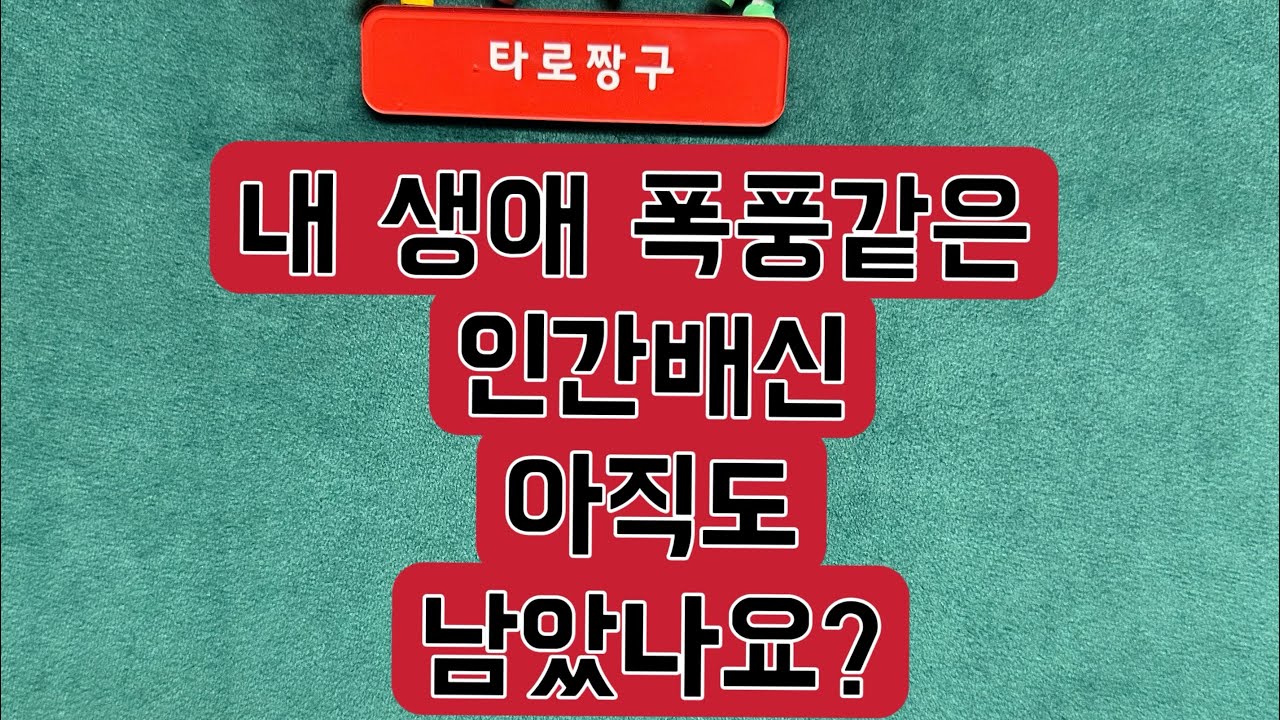 [타로짱구] 희망고문 없는 현실직시 타로