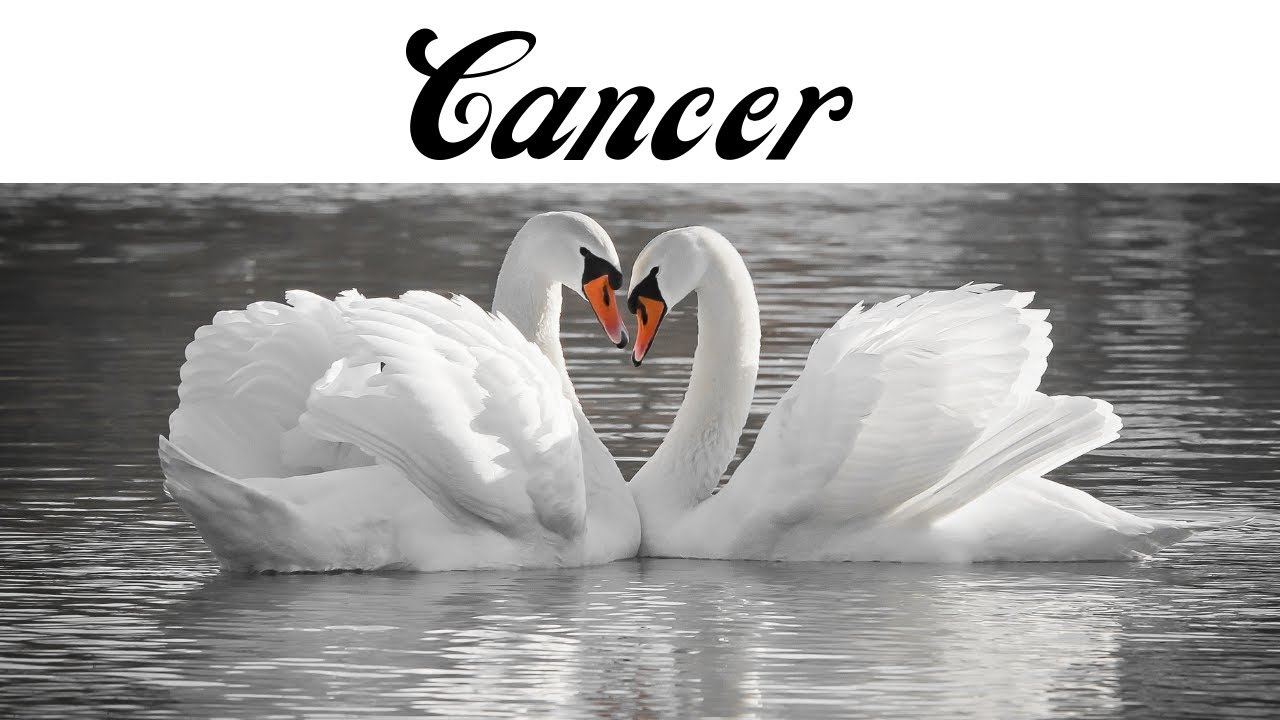 Cancer 💖~Now That You've Moved on They Come Back With Regrets & Begging To Come Home!~(AMAZING EXT!)